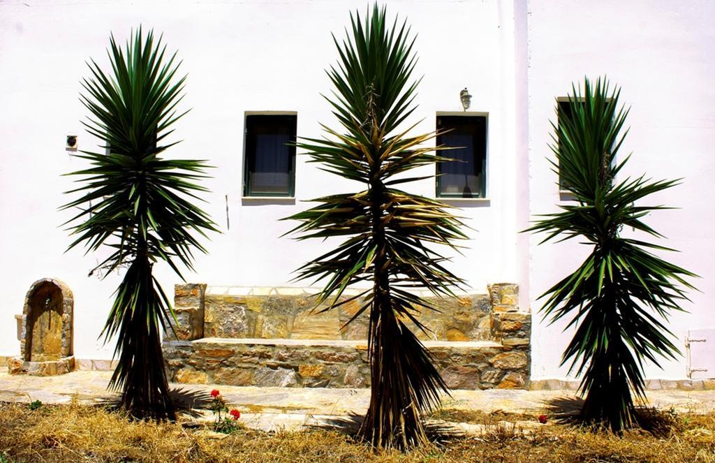 Thomas Apartments Katapola - Chora Kültér fotó